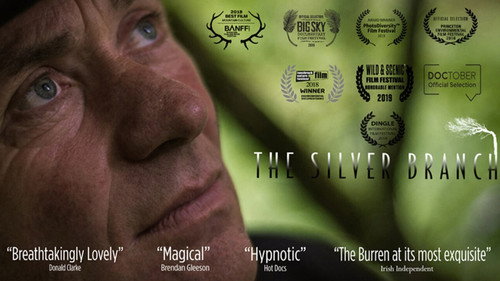 The Silver Branch Backdrop Blur