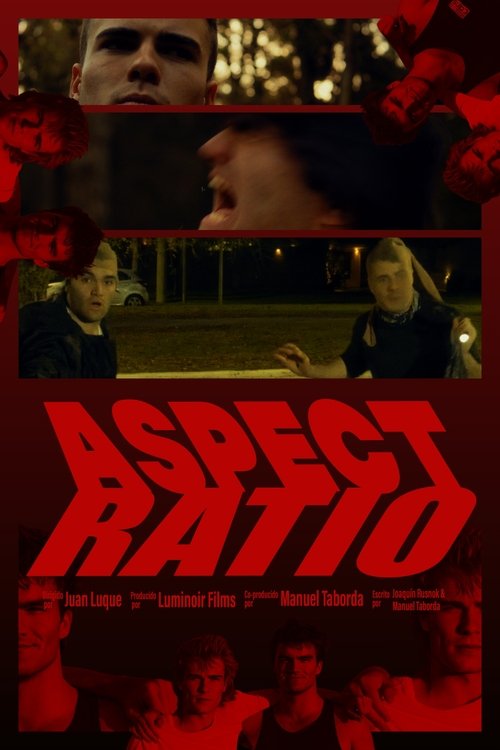 Aspect Ratio