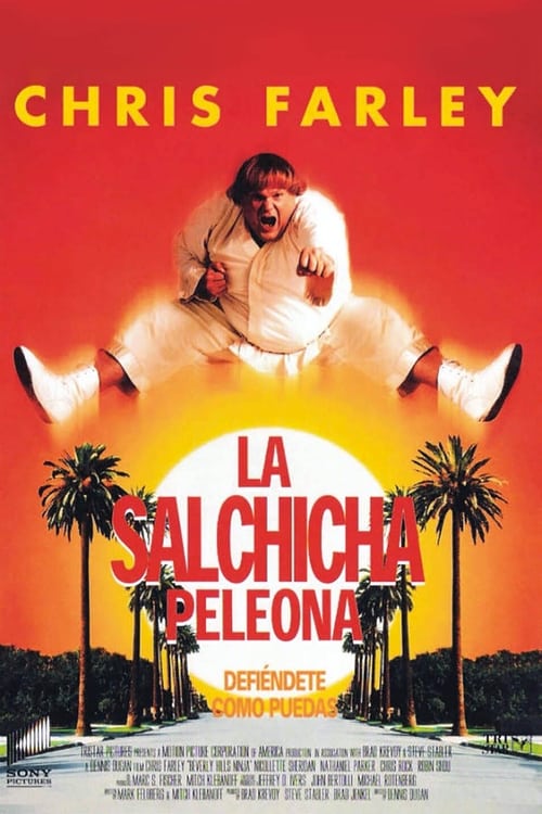 Beverly Hills Ninja poster