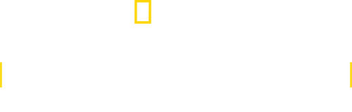 The Dinosaur Hunter