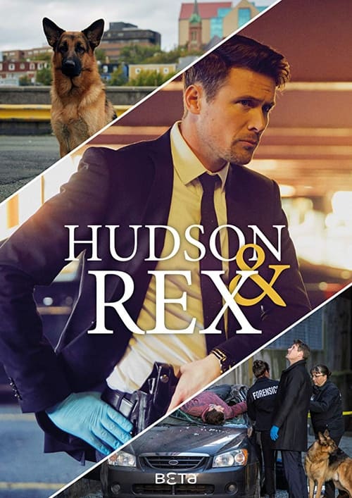 Where to stream Hudson & Rex Season 2