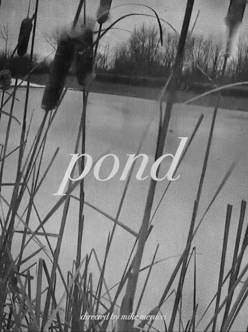 Pond movie poster player