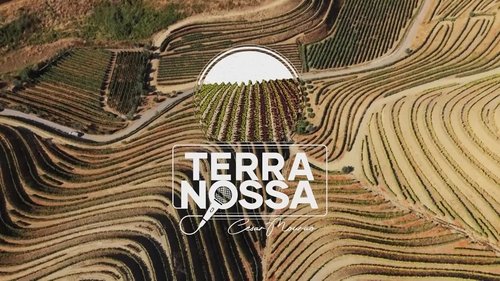 Terra Nossa: 8×15