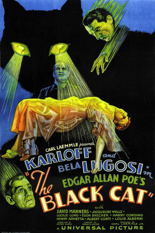 The Black Cat poster