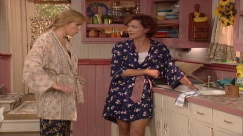 Escena del episodio 2 de la temporada 3 de Grace Under Fire