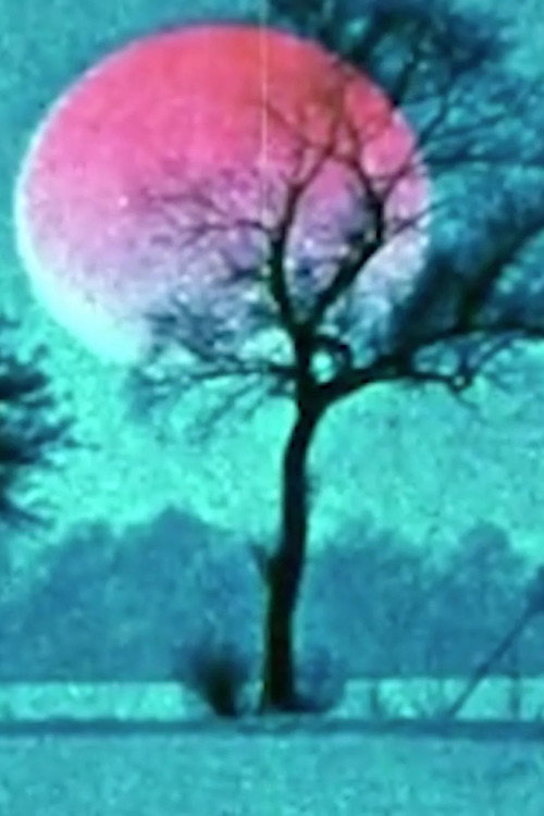 Glint