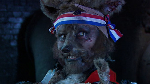 The Strange Tale of the Crack Fox