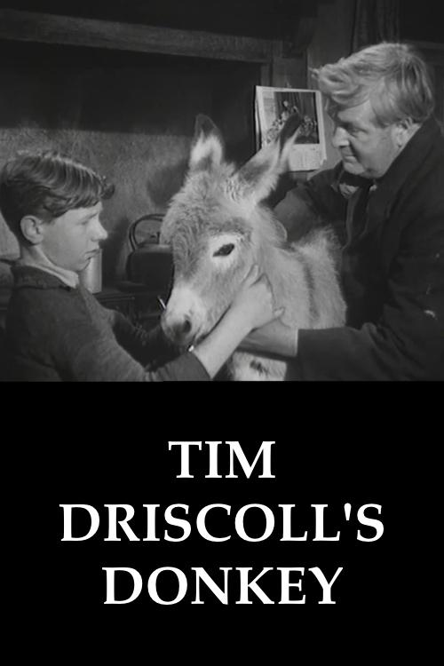 Tim Driscoll's Donkey (1955)