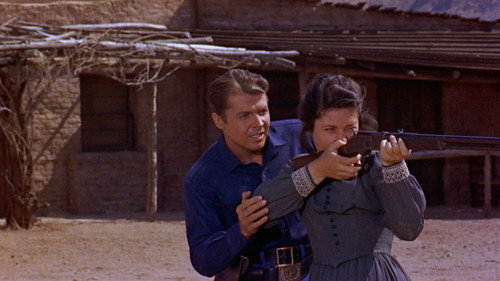The Guns of Fort Petticoat still