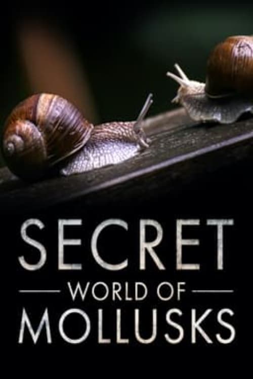 Secret World of Mollusks (2021) poster