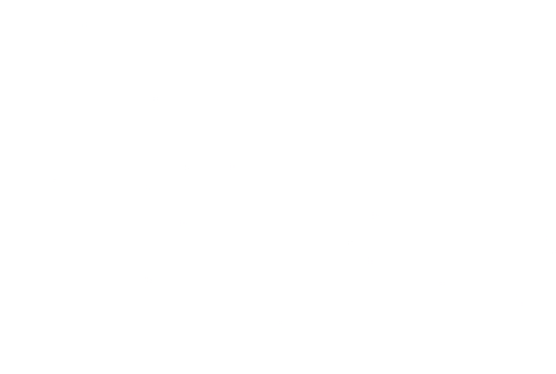 The Raiders logo
