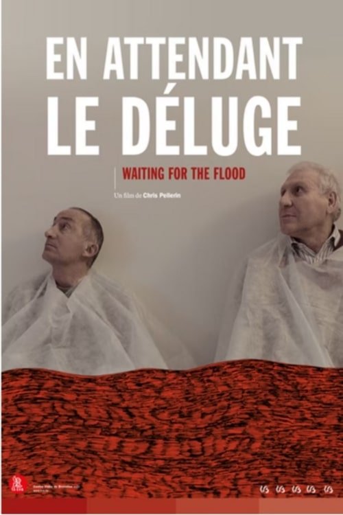 Poster En Attendant Le Déluge 