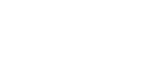 Miss Nobody