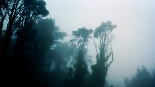 Fragile as the World