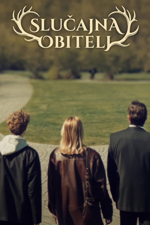 Slučajna obitelj poster