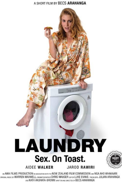 Affiche officielle de Laundry