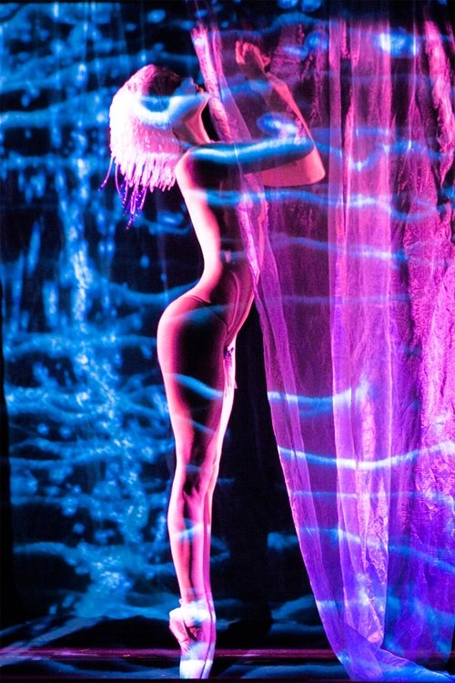Crazy Horse, Paris with Dita Von Teese poster