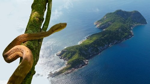 Image de l'épisode 10