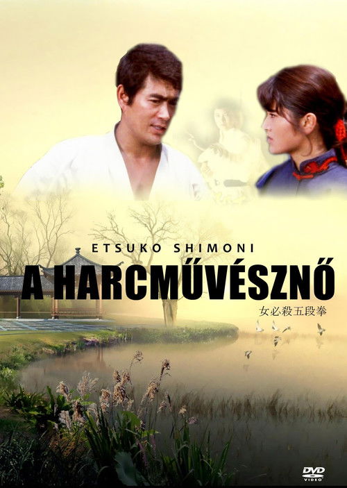 Sister Street Fighter poster