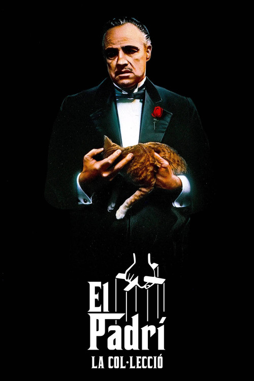 Pòster de El padrí - Col·lecció