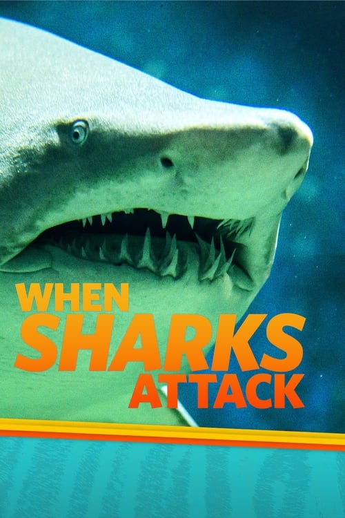 Where to stream When Sharks Attack Season 3