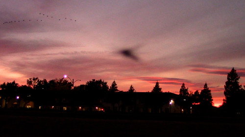 i've been running n shi