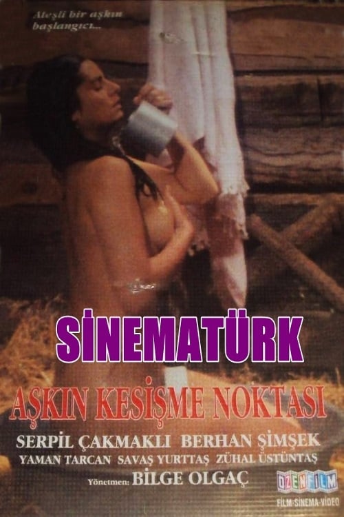 Aşkın Kesişme Noktası 1990