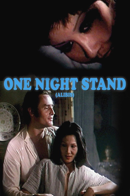 One Night Stand poster