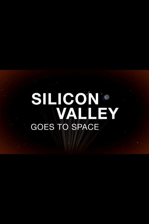 Silicon Valley Goes to Space 2013