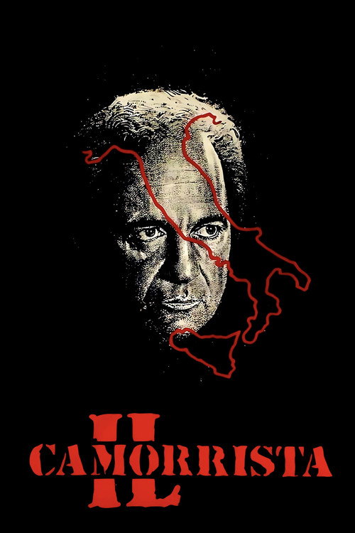 Il camorrista - FİLM Afişi