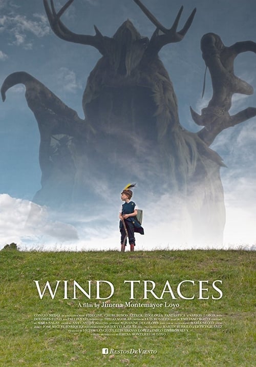 Wind Traces 2017