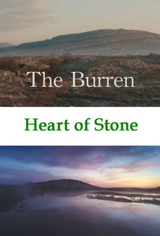 Escena 3 de The Burren: Heart of Stone