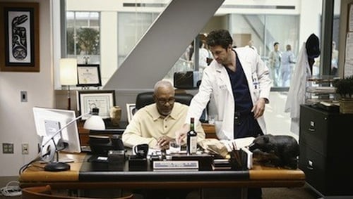 Grey's Anatomy - Season 6 - Episode 12: I Like You So Much Better When You're Naked