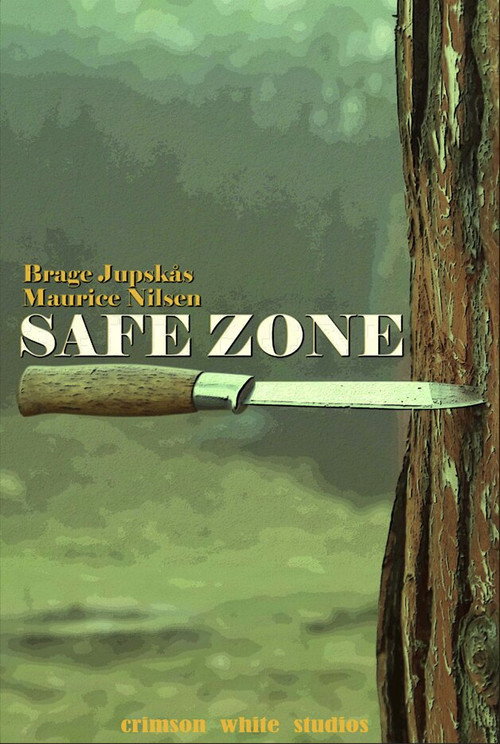 Safe Zone poster