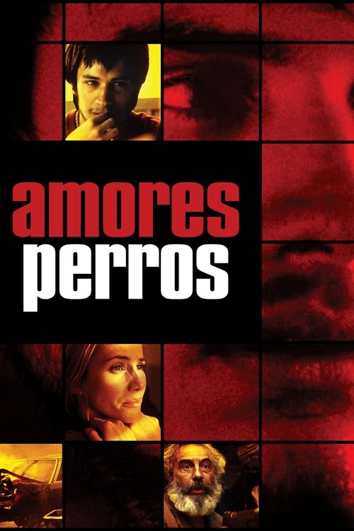 Watch Amores Perros (2000) HD Movie Online Free
