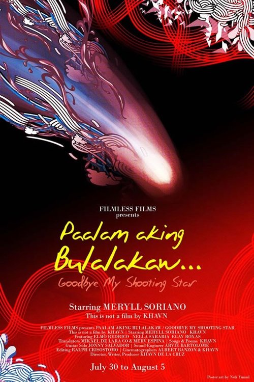 Paalam Aking Bulalakaw movie poster player