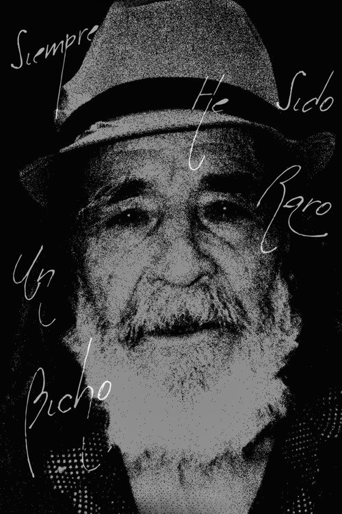 Siempre He Sido Un Bicho Raro