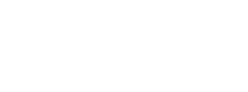 Swashbuckler