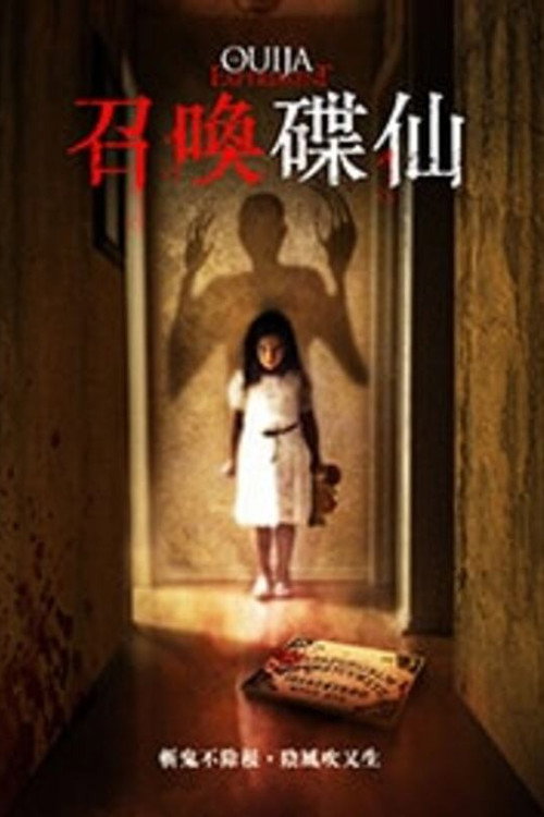 占卜实验1