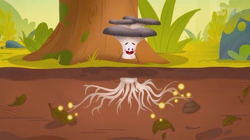 Épisode 12