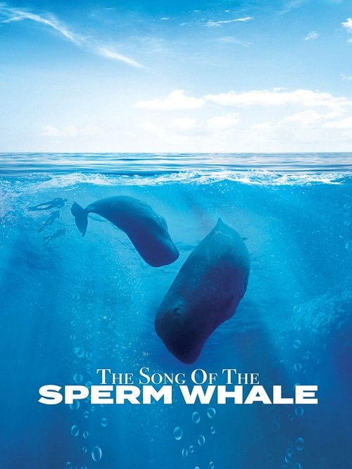 Song of the Sperm Whale movie poster player
