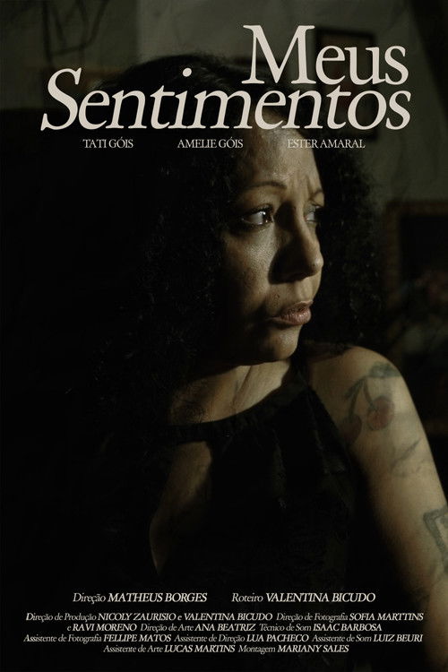 Meus Sentimentos poster