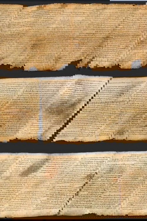 The Dead Sea Scrolls