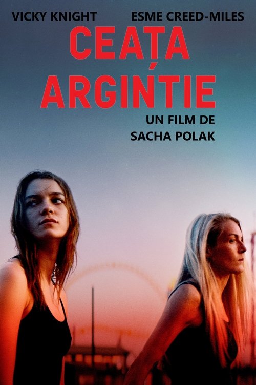 Poster pentru Ceața argintie