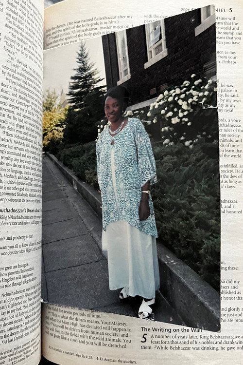 Buried in the Garden