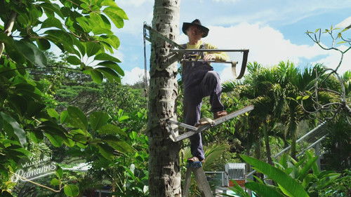 Image de l'épisode 4