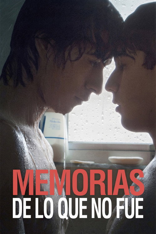 Memorias de lo que no fue poster