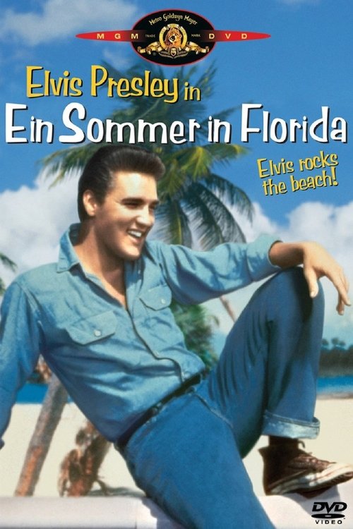 Ein Sommer in Florida Poster
