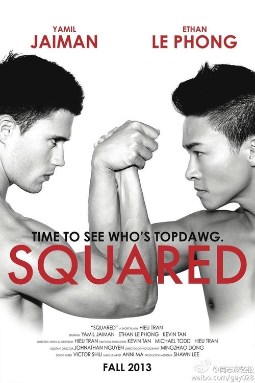 Squared 2014 Squared 2014