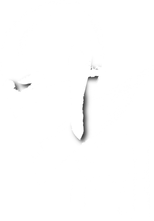 葉問2
